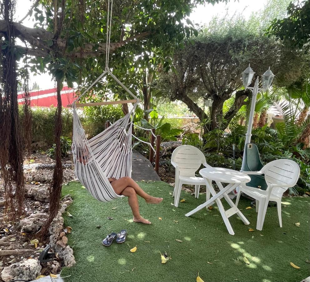 1 Habitacion Con Bano Privado Frente A La Piscina, Maximo Para 4 Personas, No Es La Casa Completa,1Cama Y 1 Sofa-Cama San Vicente Raspeig Zewnętrze zdjęcie