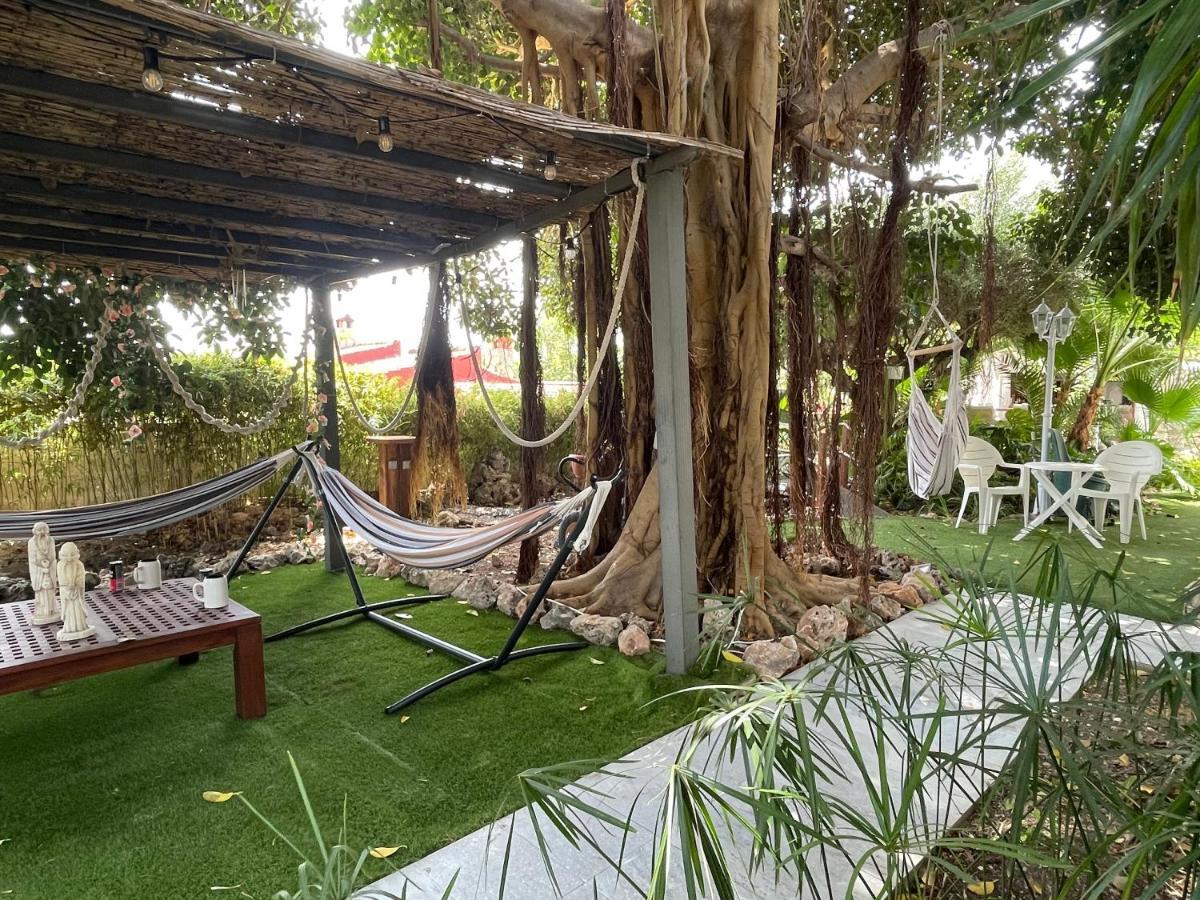 1 Habitacion Con Bano Privado Frente A La Piscina, Maximo Para 4 Personas, No Es La Casa Completa,1Cama Y 1 Sofa-Cama San Vicente Raspeig Zewnętrze zdjęcie